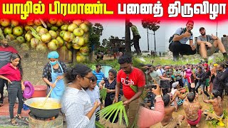 🛑யாழில் கூட்டத்துக்குள் திடீரென புகுந்த ஆதிவாசிகள்😲  Jaffna Palmyra Festival  Jaffna  Sri Lanka [upl. by Philipp572]