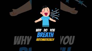 Why do you BREATH automatically Medulla Explained shorts [upl. by Aicenra729]