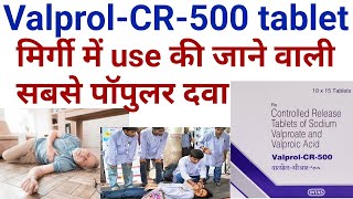 Valprol cr 500 tablet ke kya fayde haisodium valproate amp valproic acid tablet uses benifit in hindi [upl. by Alakcim]