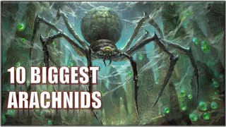 10 Biggest Movies Arachnids [upl. by Ardnama]