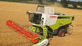 Claas Lexion 750 TT Harvesting Oats 2022 [upl. by Elliott498]