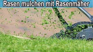 Rasen mulchen mit normalen Rasenmäher – Anleitung  Vorteile amp Nachteile  Tipps [upl. by Kenay]