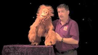 PUPPETRY FOR BEGINNERS Part 2 Staging [upl. by Ais]