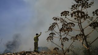 Nahost HisbollahBeschuss löst Waldbrände in Israel aus [upl. by Faun]