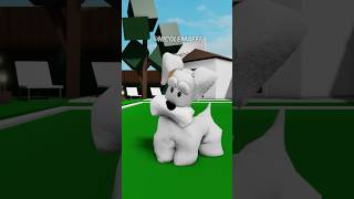 TADINHO DO MEU CACHORRINHO roblox [upl. by Hsiwhem]