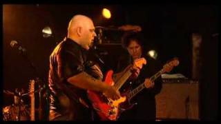 Popa Chubby  LIVE [upl. by Aretina894]