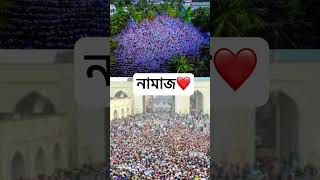 নামাজ islam foryou tending [upl. by Oap840]