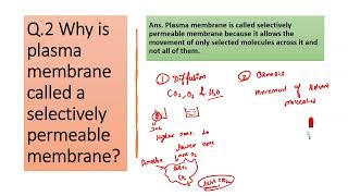 Cell Membrane  The Fundamental Unit of Life  2  for Class 9 in Hindi [upl. by Squier40]