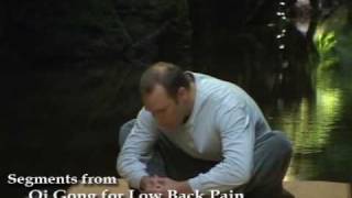 Qi Gong for Low Back Pain with Lee Holden [upl. by Ibbed]