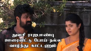 துளசி ராஜபாண்டி ஊரைவிட்டு போய் நல்ல வாழ்ந்து காட்டணும் 🔥👌 Vanathai Pola Serial Review [upl. by Clance]