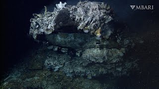 Revealing the stunning landscapes of deepsea hydrothermal vents [upl. by Ailhad763]