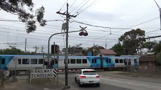 Glenferrie Road Tramsquare Level Crossing Kooyong Victoria Australia 11th of December 2022 [upl. by Yrogiarc500]