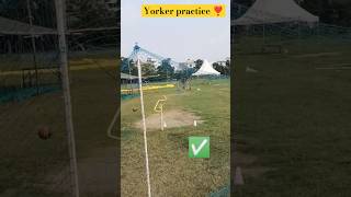 Yorker length practice 🎯💯ll ytshort yorker practice viral status [upl. by Oniliuqnart]