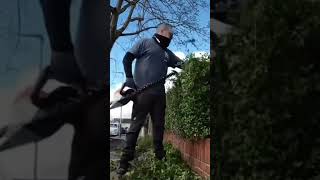 Front YARD privet hedge trimming satisfying hedgetrimming garden gardening shorts [upl. by Ammann]