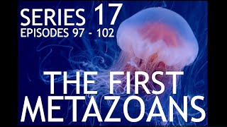 Series 17  The First Metazoans [upl. by Ecinom]