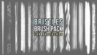 BRISTLES  Custom Brushes for Photoshop amp Adobe Fresco [upl. by Lytsirk]