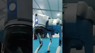 Dancing Robotics dogmarine expokerala kollam [upl. by Shama]