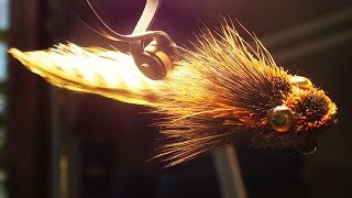 Sculpin streamer fly tying instructions by Ruben Martin [upl. by Demetria]