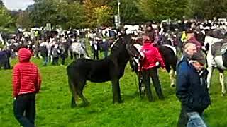 Ballinasloe fair 2019 [upl. by Domenic]