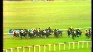 1983 Tote Cesarewitch Handicap [upl. by Serena594]