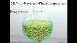 liposomes Introduction and Preparation liposome viral youtubeshorts [upl. by Janey]