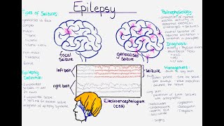 Understanding Epilepsy Pathophysiology Seizure Types Diagnosis Treatment Prevention 1st aid [upl. by Yelhak]