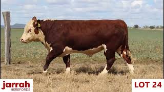 LOT 24 Jarrah Endure T260 AIPP [upl. by Melany]