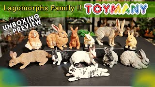 The Best Rabbit Figures Toymanys New release 😍 [upl. by Gregor503]