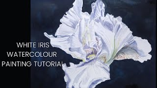 White Iris Watercolour Painting Tutorial [upl. by Ahsiat]