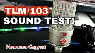 TLM 103 Sound Test Neumann Mic Copy OEM version [upl. by Edivad285]