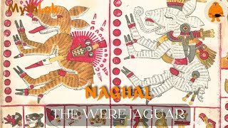 Learn Everything You Need To Know About The Nagual The Were Jaguar And Mayan Mythology [upl. by Yelhak300]