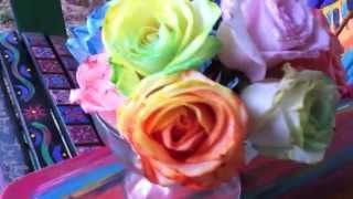 HOW TO Tie Dye Roses  DIY Rainbow Roses and Flowers [upl. by Norihs630]