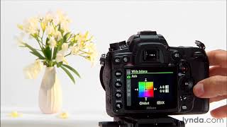 Nikon DSLR Tutorial  Using the white balance settings [upl. by Attekal98]