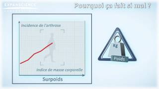 Lutter contre larthrose de la hanche ou coxarthrose   Arthrolink [upl. by Malia]