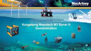 Kongsberg Mesotech M3 Sonar® Demonstration [upl. by Yllod335]