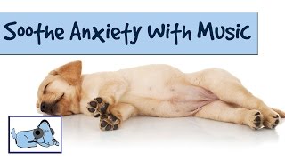 Calming Music to Soothe Your Dogs Anxiety and Barking [upl. by Nirehtak]