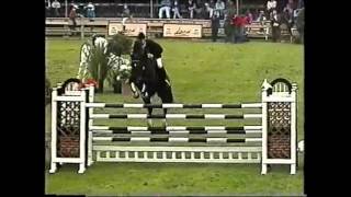 World Record Puissance Show Jumping Franke Sloothaak [upl. by Hathaway480]