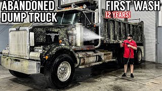 Disaster Barnyard Find  Extremely Moldy Truck  First Wash In 12 Years  Car Detailing Restoration [upl. by Barbarese]