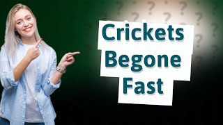 What kills crickets fast [upl. by Fogarty]