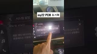 Porsche My22 PCM Reset  22년식 공장 초기화 [upl. by Ardnoet]