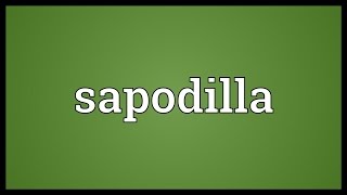 Sapodilla Meaning [upl. by Orth443]