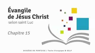 Évangile de Jésus Christ selon saint Luc en intégralité Chapitre 15 [upl. by Deehahs312]