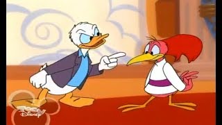 Disney’s House of Mouse Season 3 Episode 5 Donald and the Aracuan Bird [upl. by Courcy]