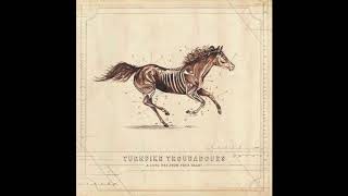 Turnpike Troubadours  Pay No Rent  A Long Way From Your Heart [upl. by Nikos315]