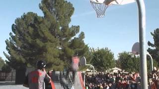 BMX bike show [upl. by Leid]