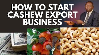 How to start cashew export business in Nigeria cashew export [upl. by Yenittirb98]