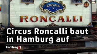 Circus Roncalli Aufbauarbeiten in Hamburg gestartet [upl. by Nallij]