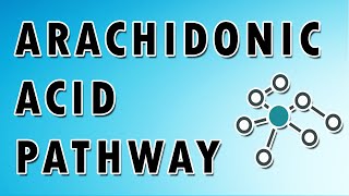 Arachidonic Acid Pathway [upl. by Merideth154]