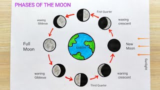 Moon phase drawing step by step  Moon phase diagram drawing  How to draw phases of the moon [upl. by Scharf]