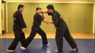 Kajukenbo 2 Man Counters 1 amp 5 [upl. by Harbison]